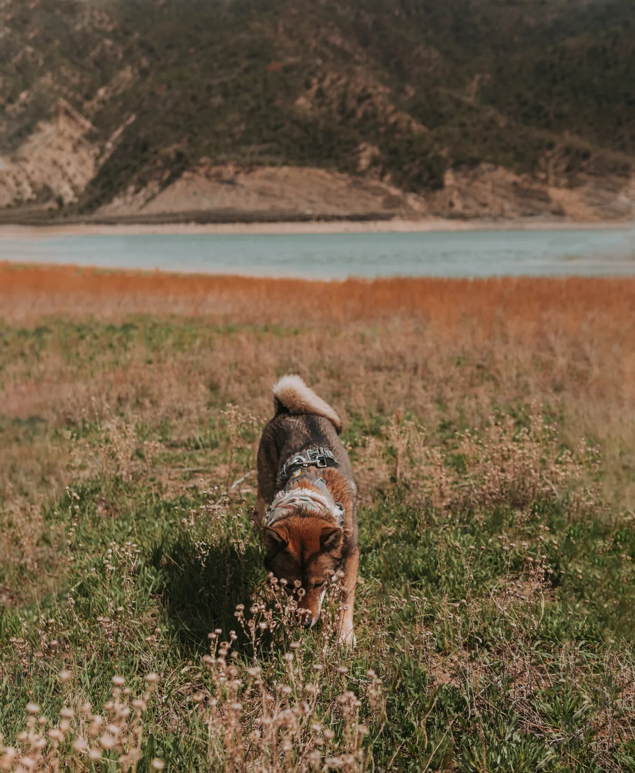 Sunset at the campsite near Grand Junction, Colorado