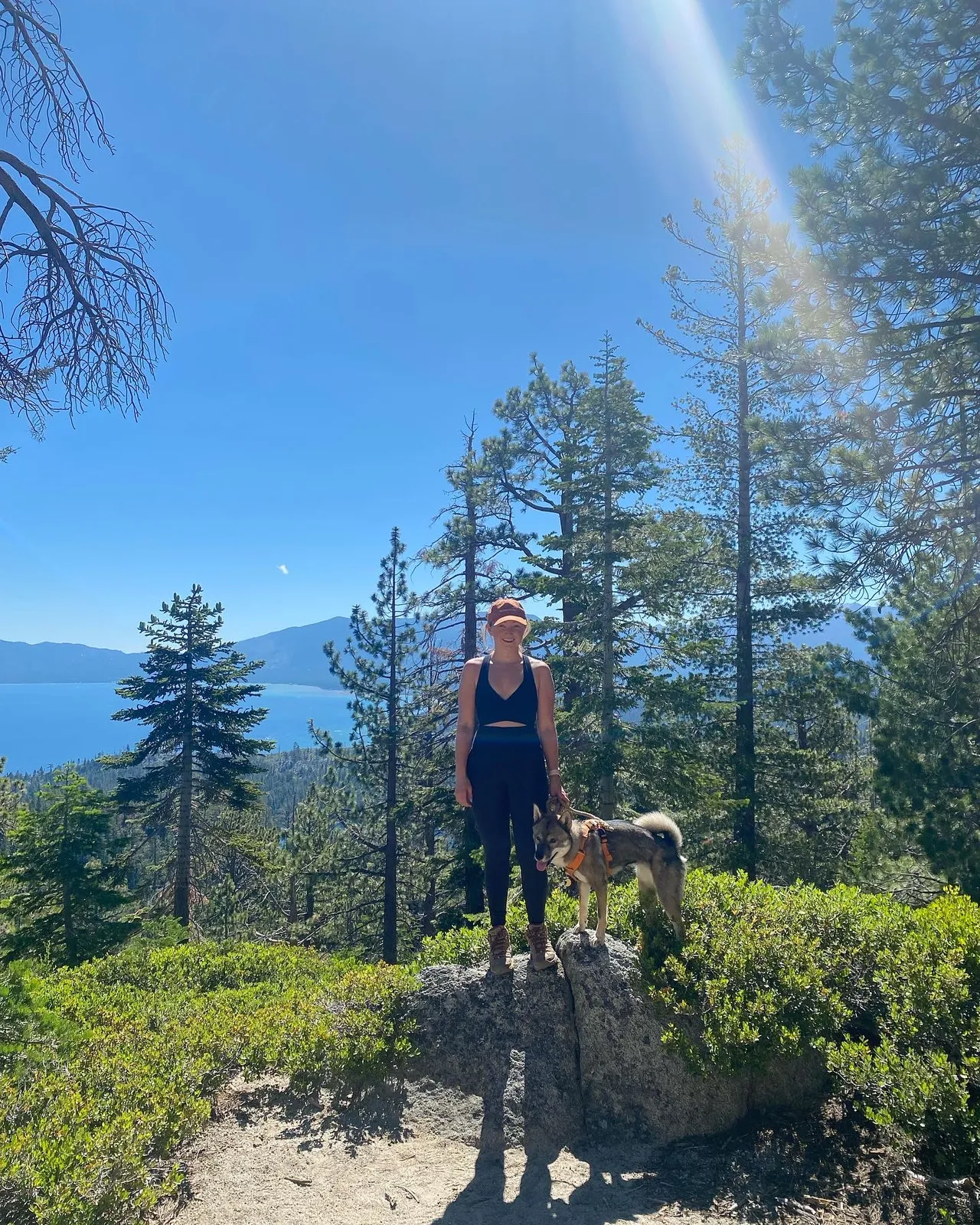 Hiking with Sora above Lake Tahoe with views of the blue water through the pines