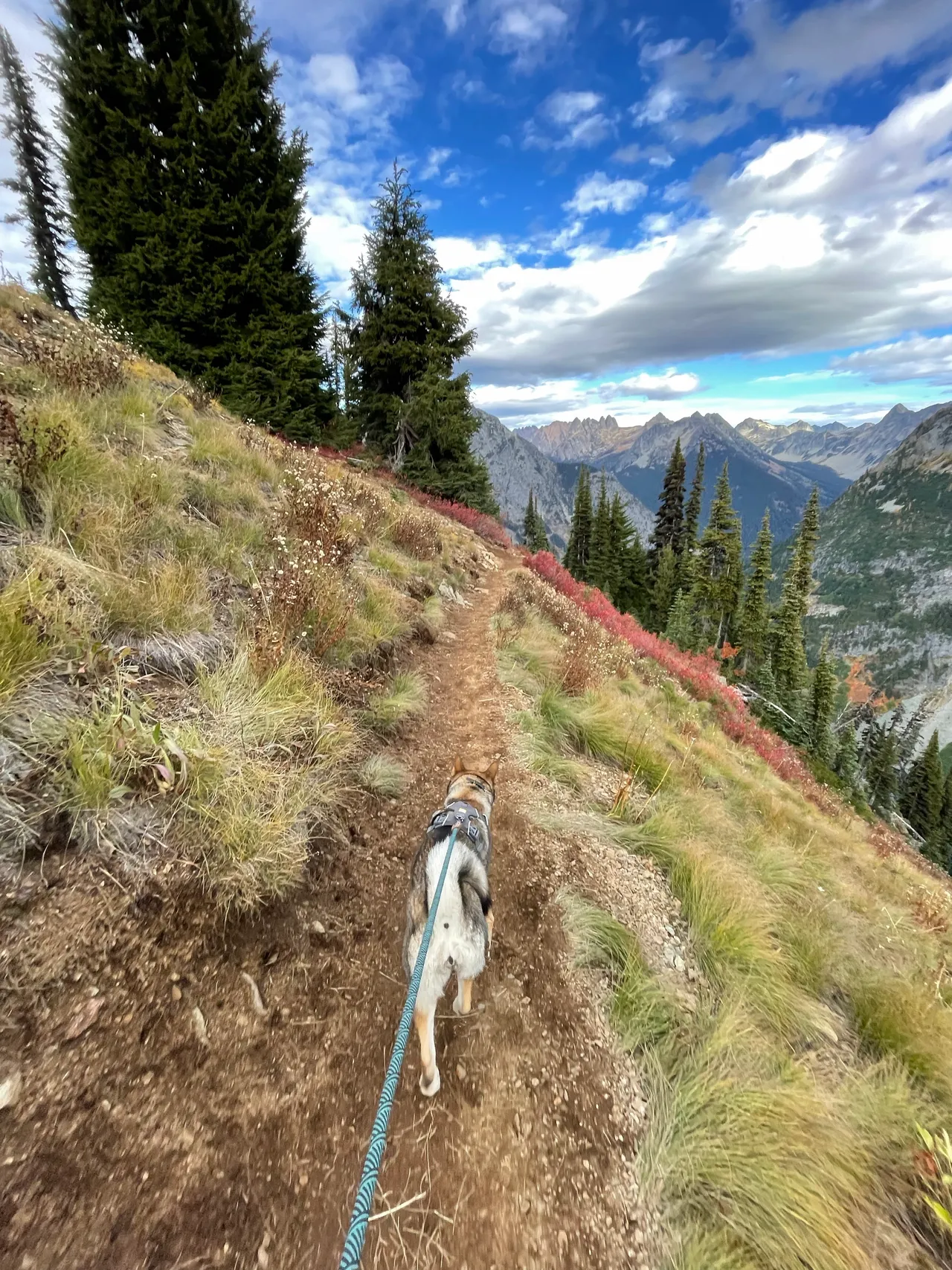 Sora walking on a narrow mountain trail beneath a blue and cloudy sky