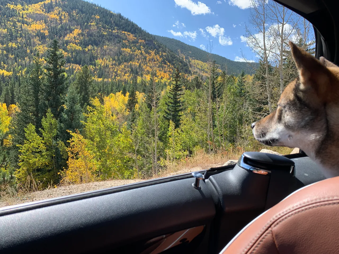 Blue MINI Cooper S Countryman with Yakima cargo box in Colorado