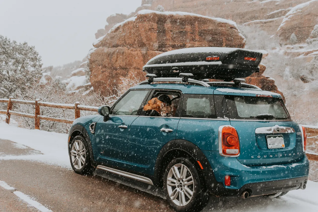Blue MINI Countryman with Yakima cargo box and two dogs in a snowstorm, red rock canyon in Colorado