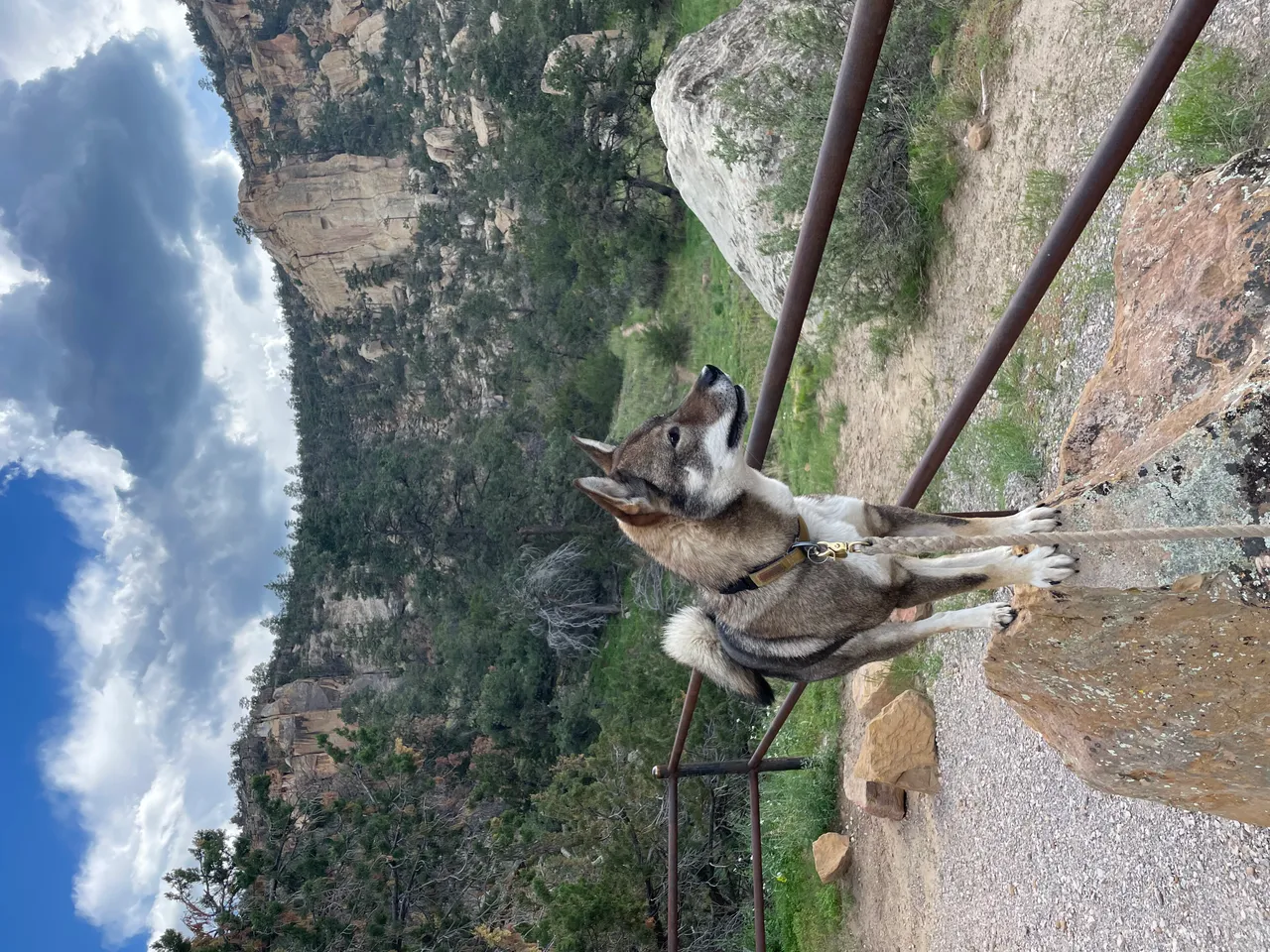 MINI Cooper on the road through New Mexico near Santa Fe