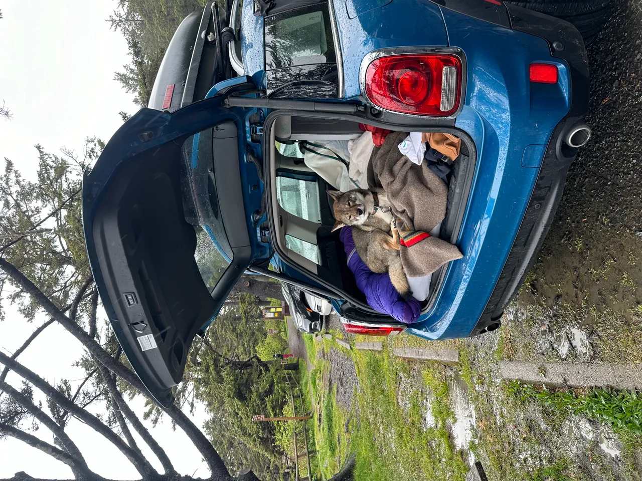 Sleeping setup in the back of the MINI Cooper with Sora