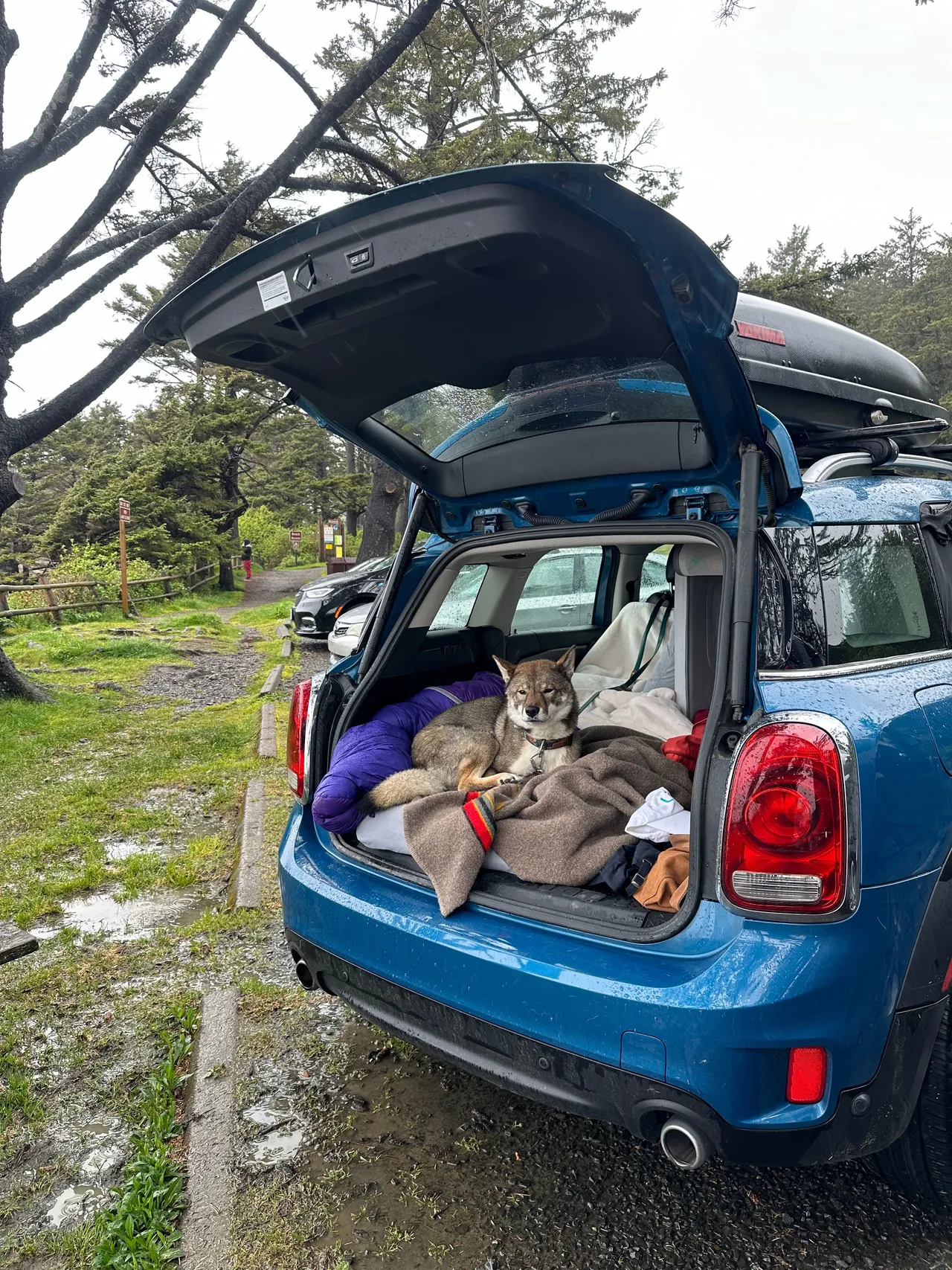 Sleeping setup in the back of the MINI Cooper with Sora