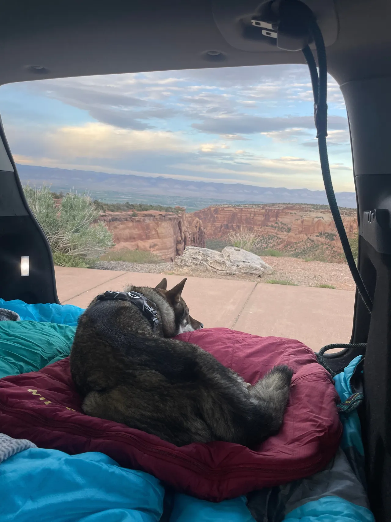 Car camping setup in the MINI Cooper Countryman