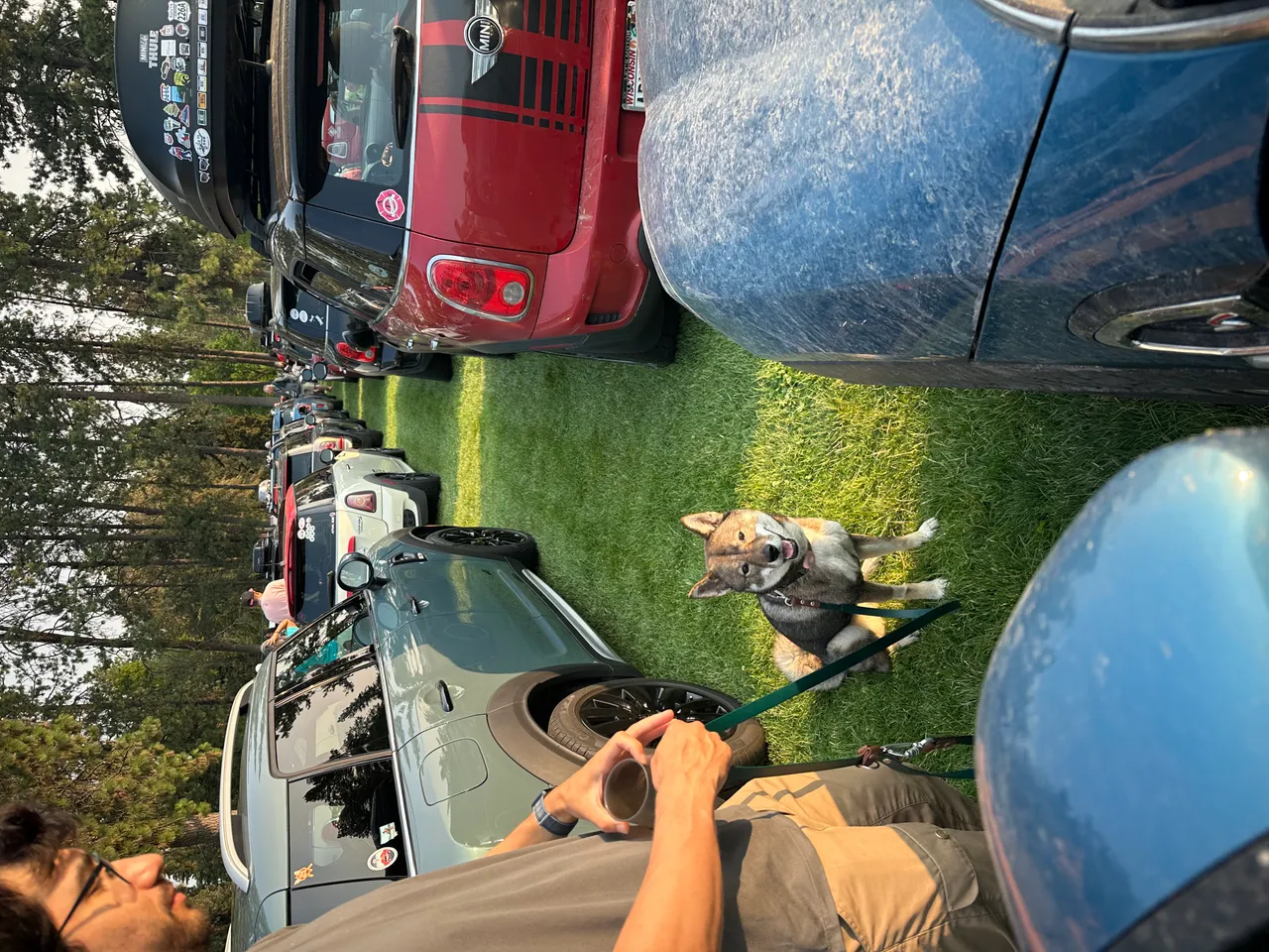 MINI Takes the States 2024 rally