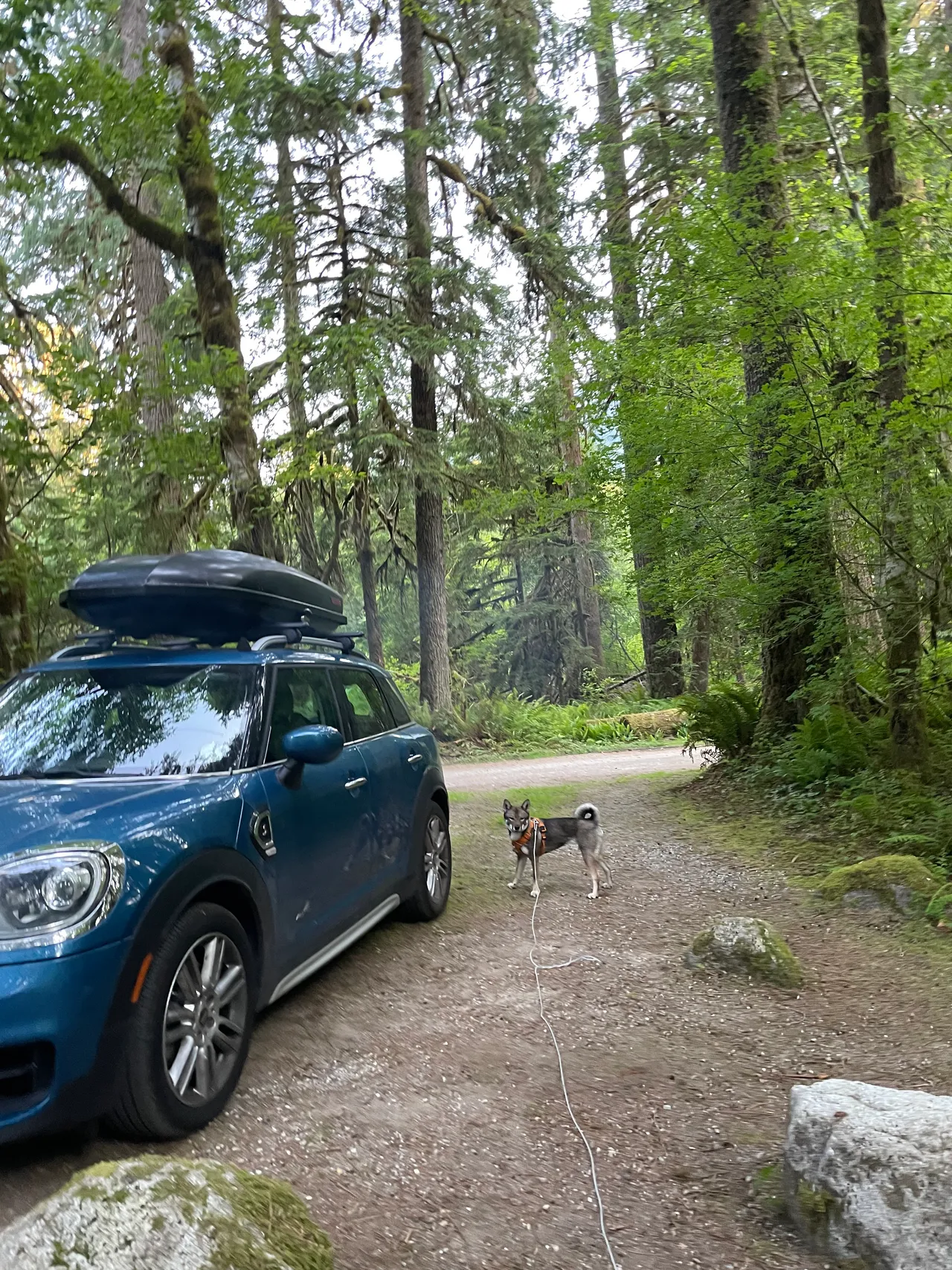 MINI Cooper on a road trip through Washington state