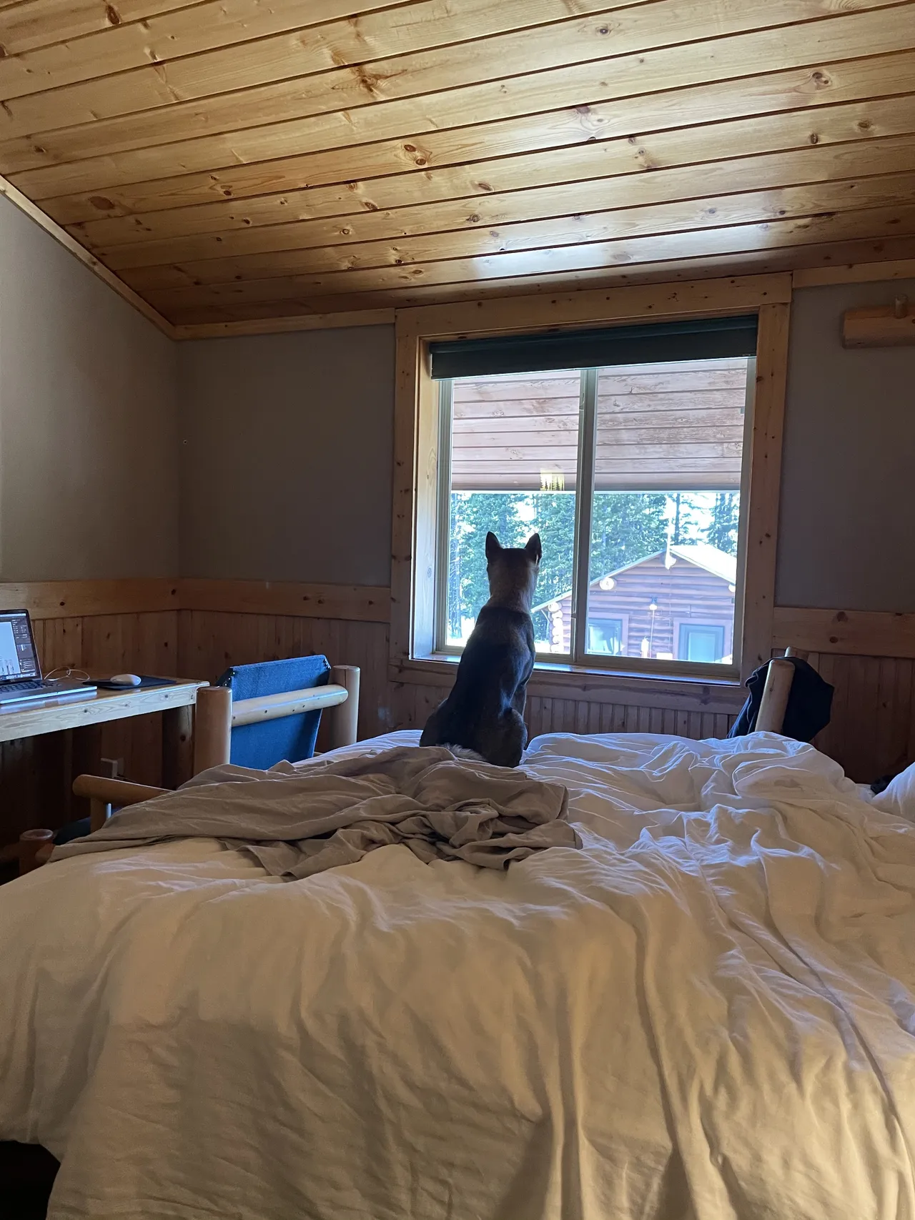 Working remotely poolside in Denver