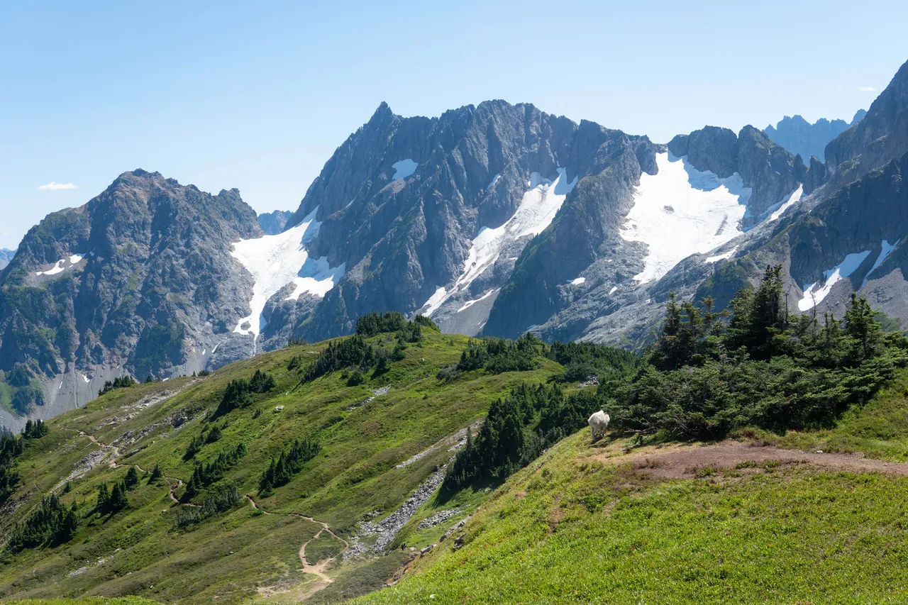 Hiking Sahale Arm Trail in Washington: A North Cascades Classic