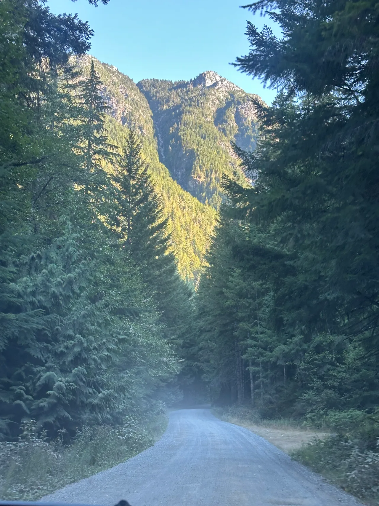 Mountain peaks appearing above the forest along Cascade River Road