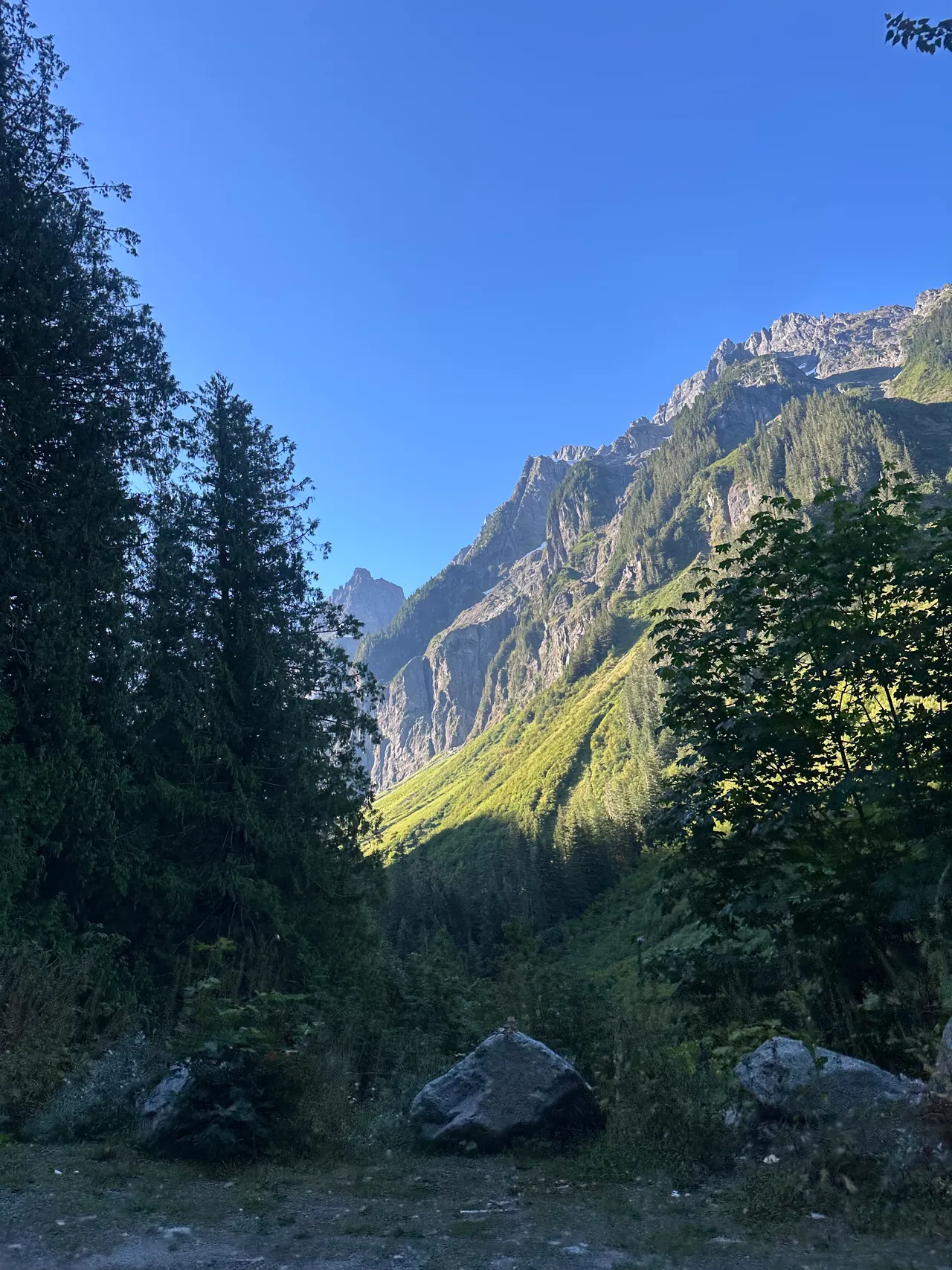Rugged North Cascades peaks and green slopes from the road