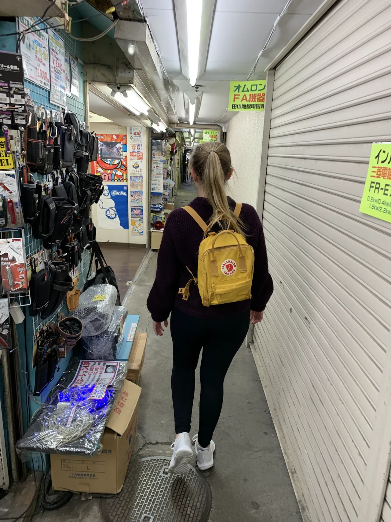 Shopping in Akihabara