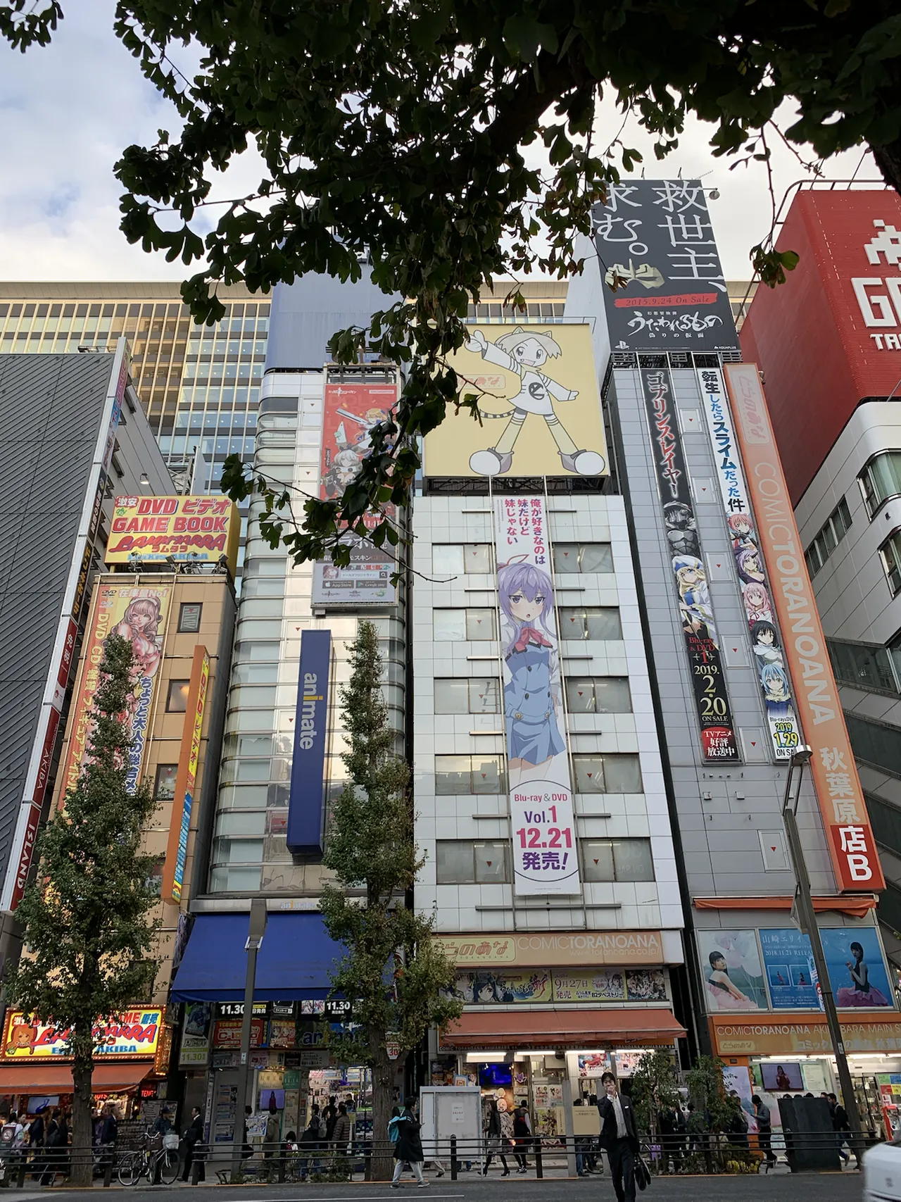 Anime and figure shops in Akihabara
