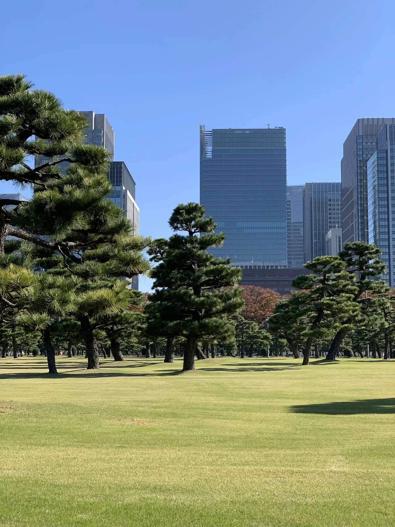 Walking around a Tokyo park