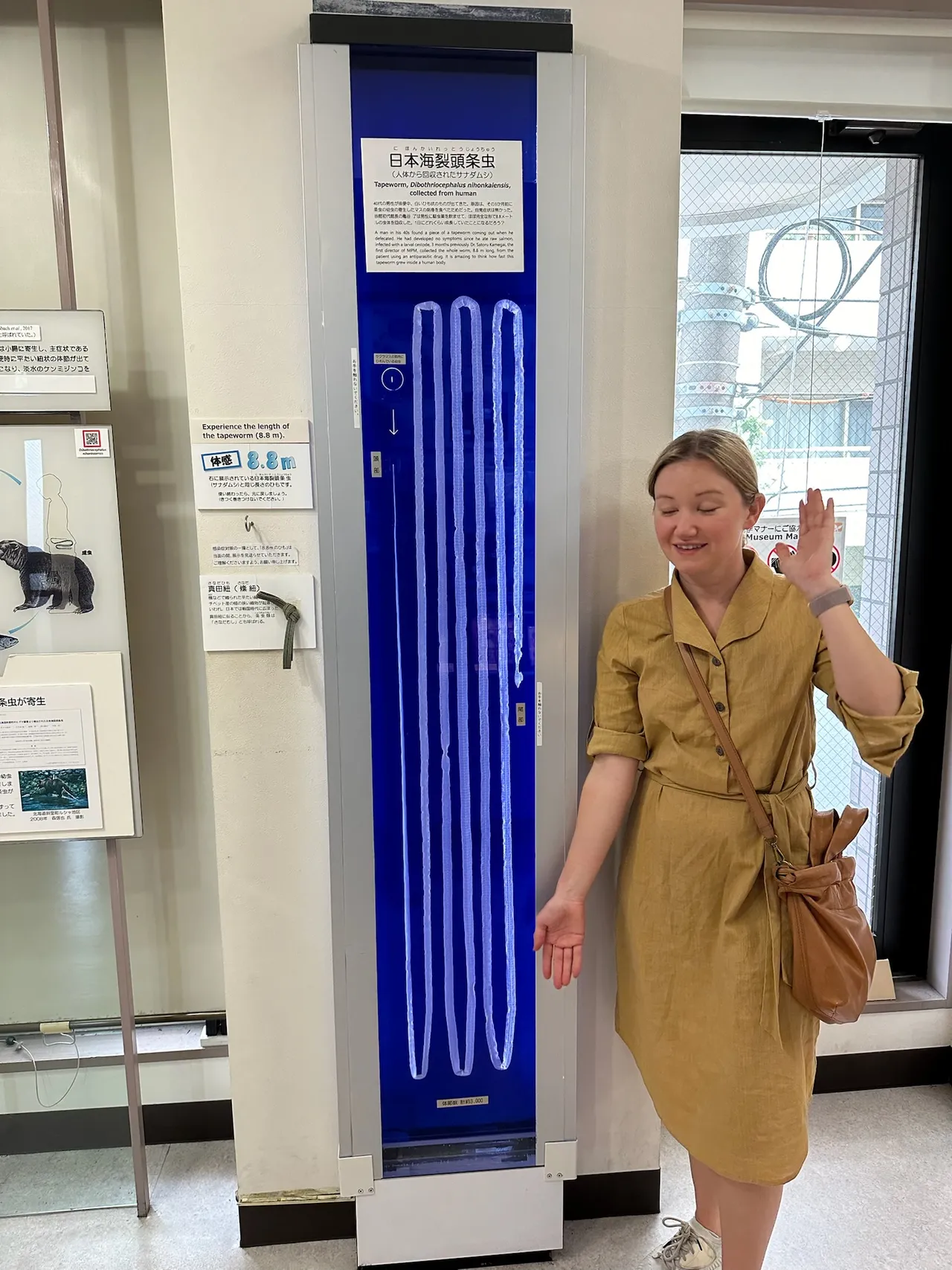 Whiskey and wine barrels in Tokyo