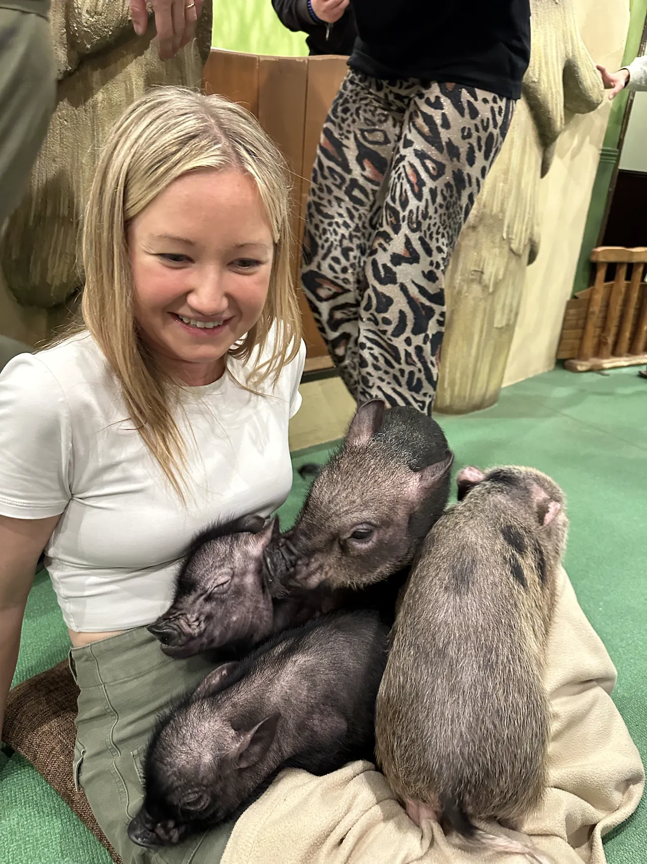 Visiting a pig cafe in Tokyo
