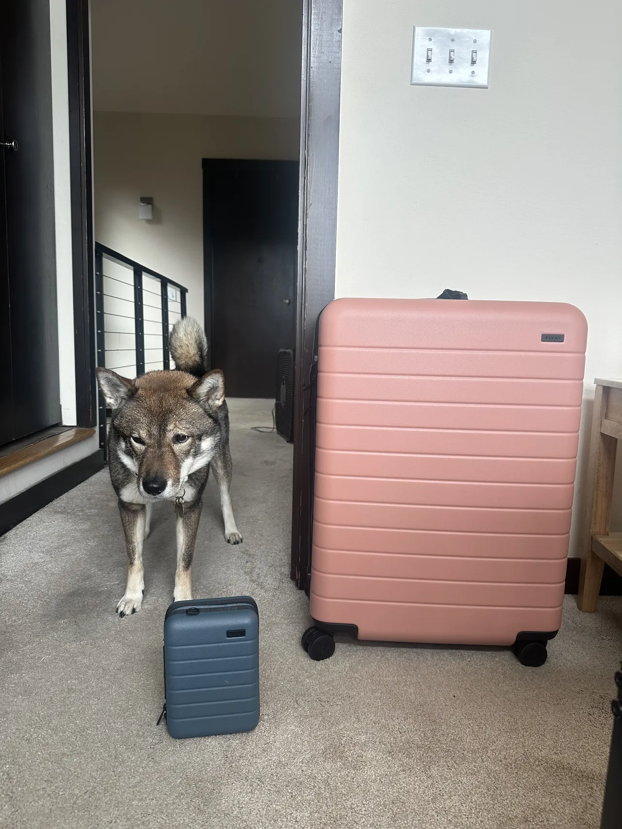 Packing my Away medium suitcase for a trip