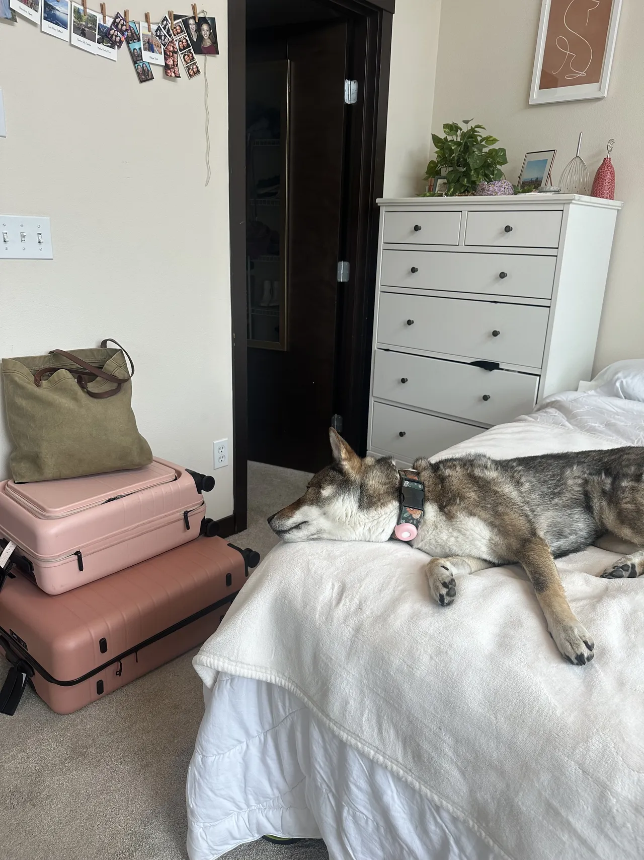 Away luggage ready to go