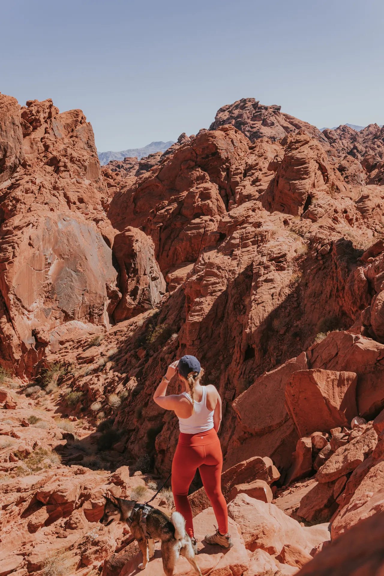 Hiking through the red rock formations at Valley of Fire with Sora