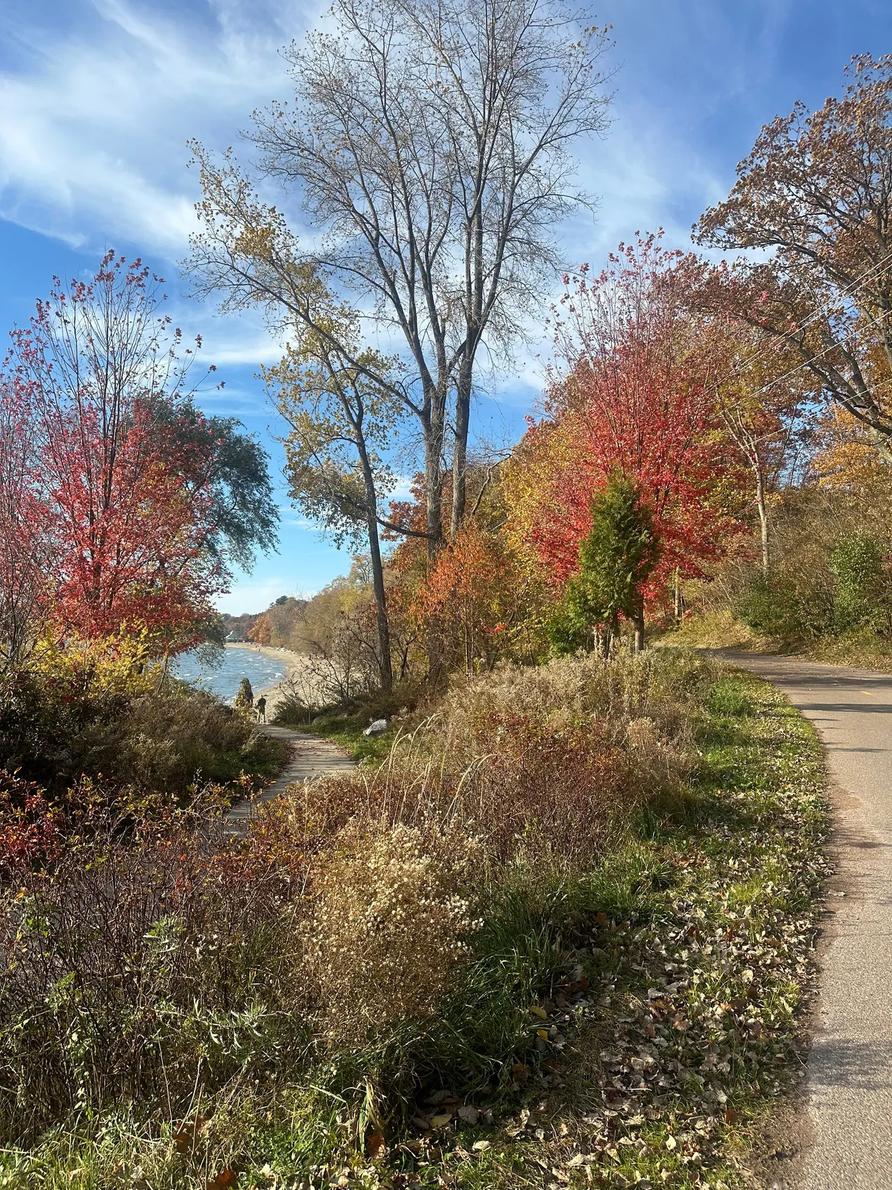 Fall foliage reflecting in a pond in New England