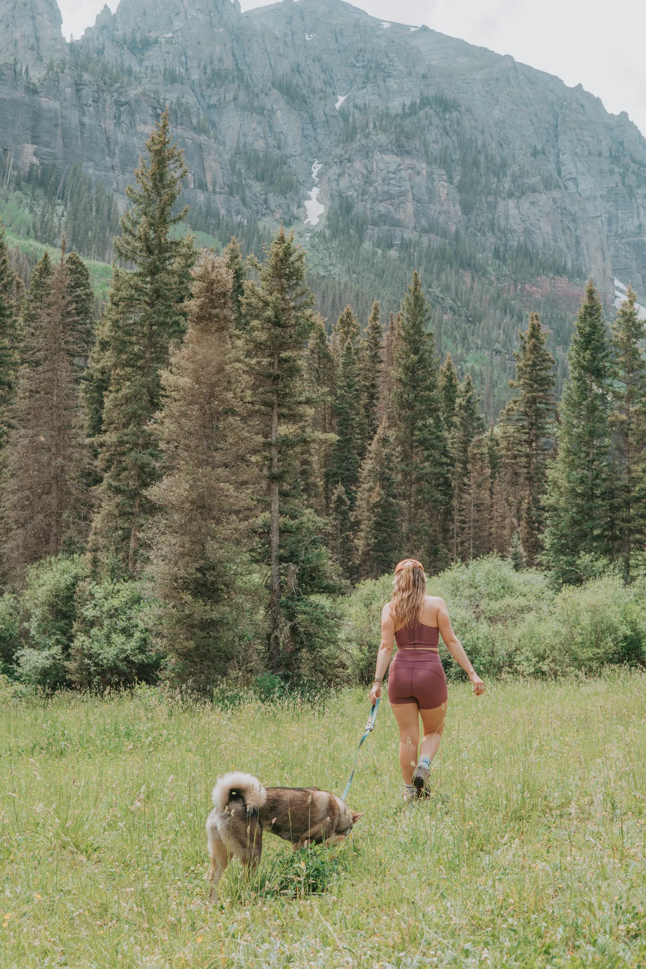 Walking with Sora through a mountain meadow beneath jagged peaks in western Colorado
