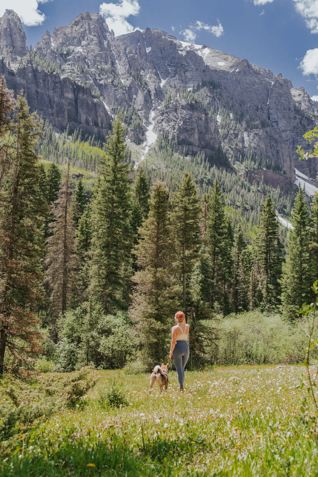 Walking with Sora through a wildflower meadow beneath towering peaks in western Colorado