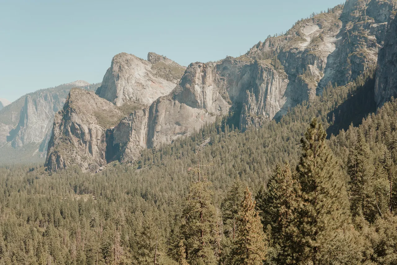 Granite cliffs and pine forest in Yosemite Valley