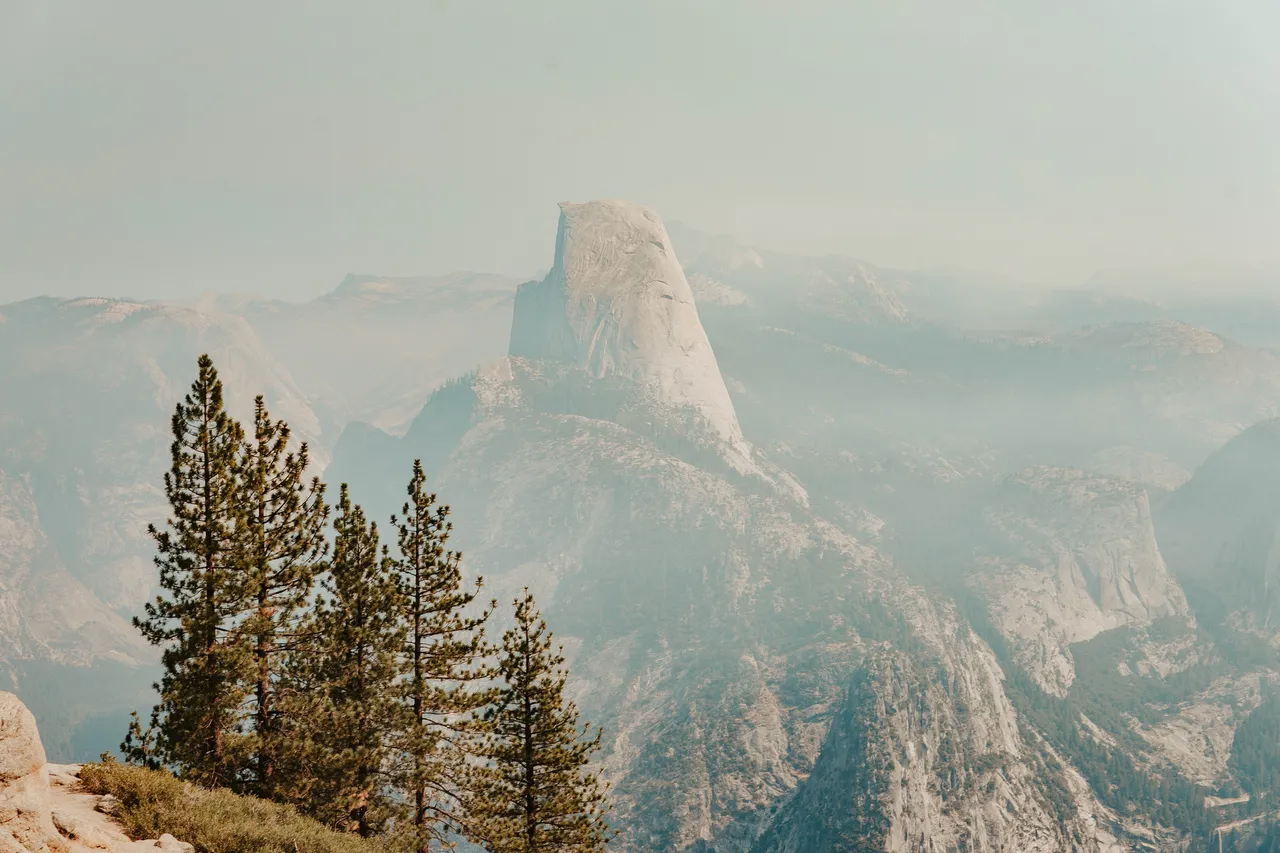 Half Dome rising above Yosemite's granite landscape and pine trees